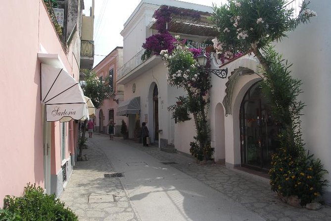 Pompeii and Amalfi Coast Port Tour (Driver Only/Self Touring) - How to judge the price of $1,382.87