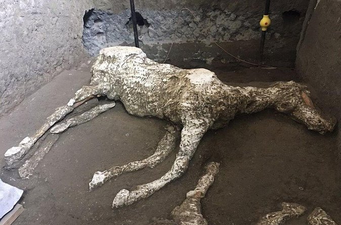 Pompeii and Herculaneum Day Tour - with Lunch from Naples - A 40-minute lunch break in Pompeii