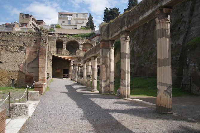 Pompeii and Herculaneum Day Tour - with Lunch from Naples - Who should book this day trip?