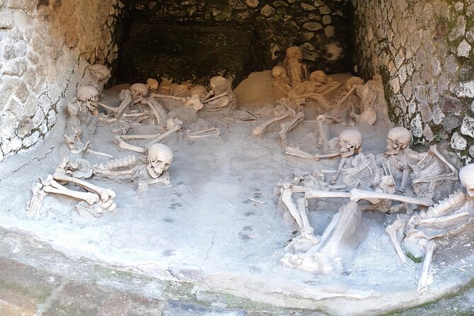Pompeii and Herculaneum day trip - Key points to know before booking