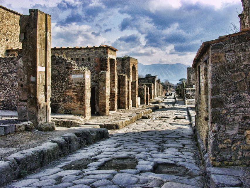 Pompeii and Herculaneum: Private Tour from Naples - The guide can make or break the six-hour visit