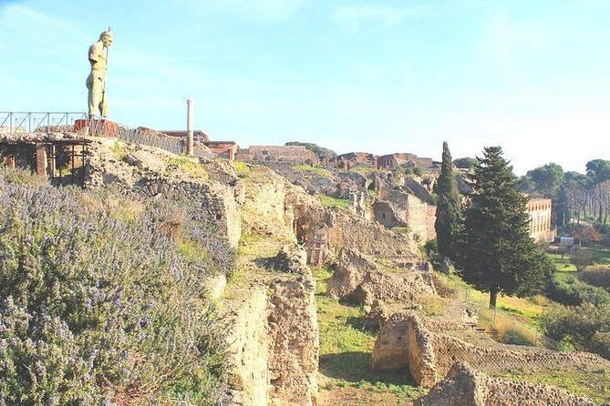 Pompeii and Herculaneum Private Tour with Native Guide and Skip the Line Tickets - What the private format changes