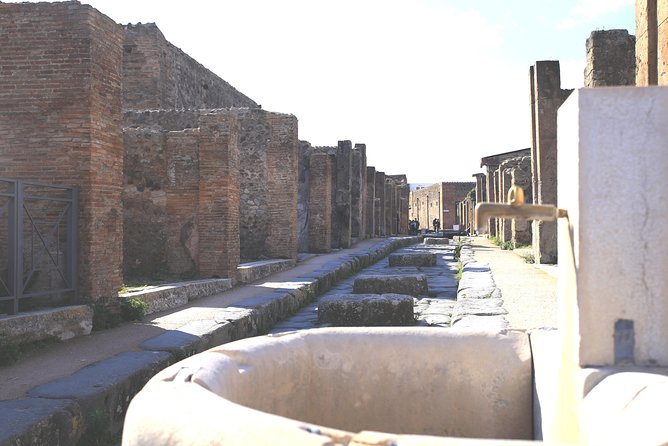 Pompeii and Herculaneum Private Tour with Native Guide and Skip the Line Tickets - Should you book it?
