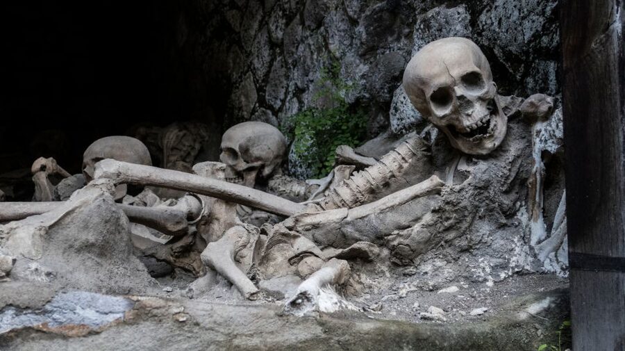 Pompeii and Herculaneum: Private Tour with Transportation - A 30-minute lunch stop, with food at your expense