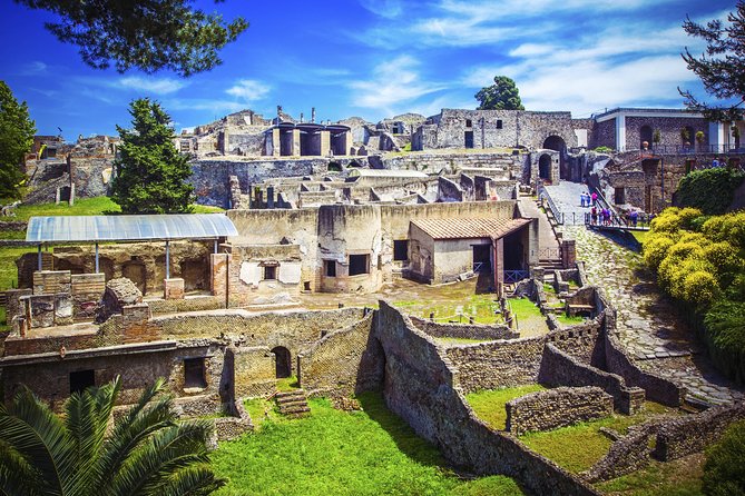 Pompeii and Herculaneum Ruins Private Tour - What the $162.06 price really buys