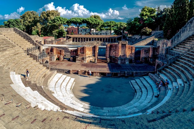 Pompeii and Herculaneum Ruins Private Tour - Pompeii in two hours