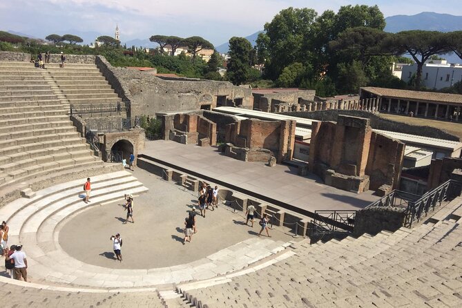 Pompeii and Sorrento Day Trip from Naples - The schedule matters most for cruise passengers