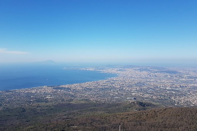 Pompeii and Vesuvius Day Trip from Naples with Skip The Line - Practical advice for a smoother day