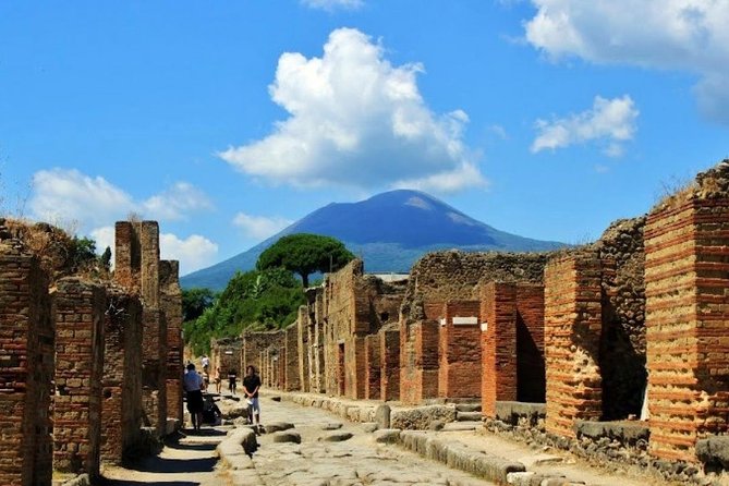 Pompeii and Vesuvius Day Trip from Naples with Skip The Line - The road to Mount Vesuvius