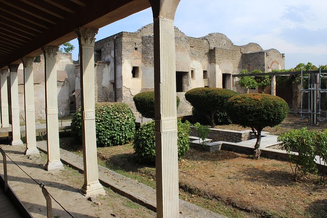 Pompeii and Vesuvius from Naples. Private activity - Who should book this day trip?