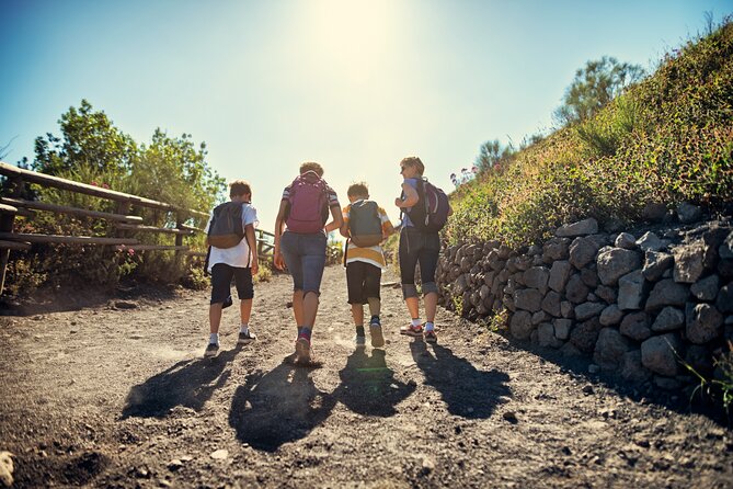 Pompeii and Vesuvius Wine Tasting Private Tour - Why this Naples day works so well