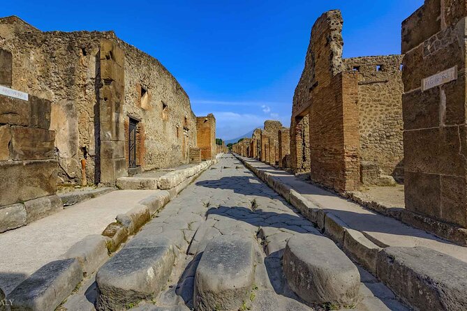 Pompeii Archaeological Area Entrance Ticket - Access, transport, and the right type of visitor
