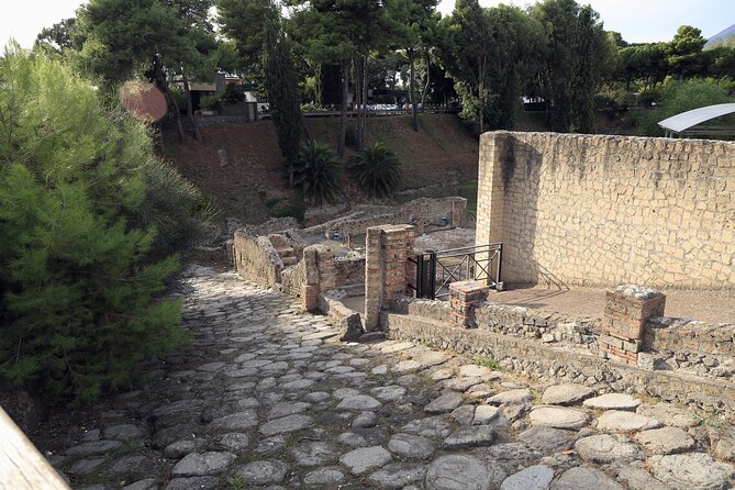 Pompeii Day Tour - Is the $102.92 price fair?