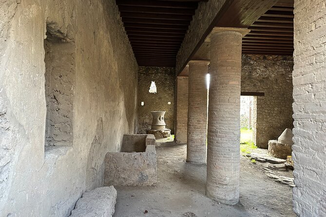 Pompeii Guided Tour from Naples with Transport and Entrance Included - What the archaeology guide adds