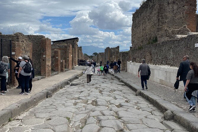 Pompeii Guided Tour from Naples with Transport and Entrance Included - Meeting at Piazza Giuseppe Garibaldi