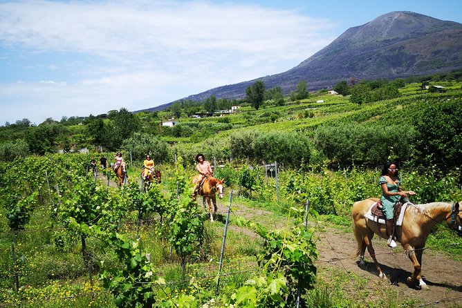 Pompeii Guided Tour & Horse Riding on Vesuvius with Lunch - The Vineyard Lunch: The Day’s Most Relaxed Stop