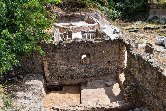 Pompeii Guided Tour & Lunch with Superior Wine Tasting - Pompeii in two hours: a smart first look
