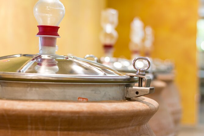Pompeii Guided Tour & Lunch with Superior Wine Tasting - Who will enjoy this most?