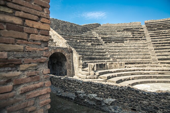 Pompeii: Guided Tour with Priority Entrance - The House of the Faun and the Alexander Mosaic