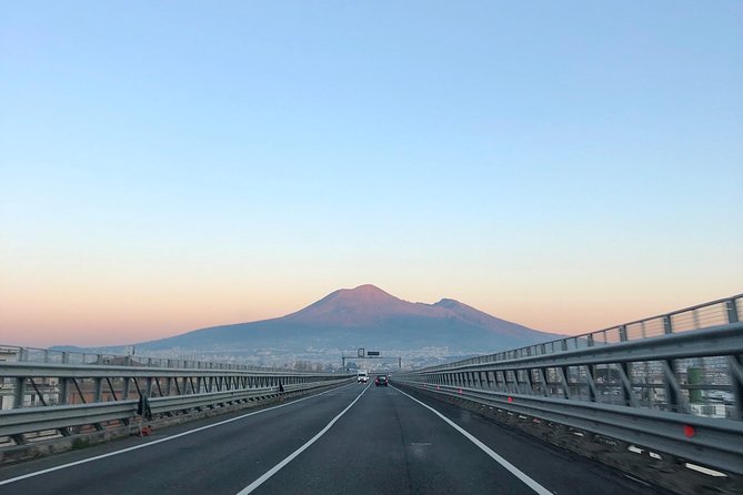 Pompeii, Herculaneum and Vesuvius Private Guided Tour - The driver and guide make the difference