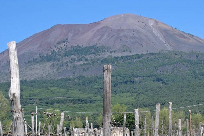 Pompeii, Herculaneum and Vesuvius Private Guided Tour - Pompeii at 8:30 a.m. or shortly after