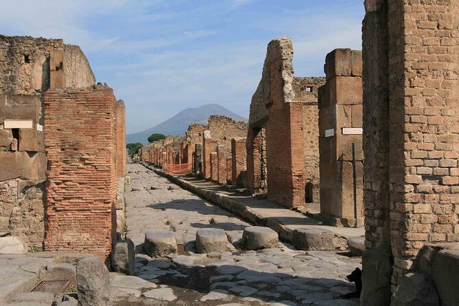Pompeii & Herculaneum Day Trip from Naples with Lunch - Pompeii in two hours