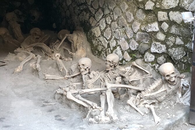Pompeii & Herculaneum Family Adventure | Guide+Transport+Tickets - Is $738.31 Per Person Good Value?
