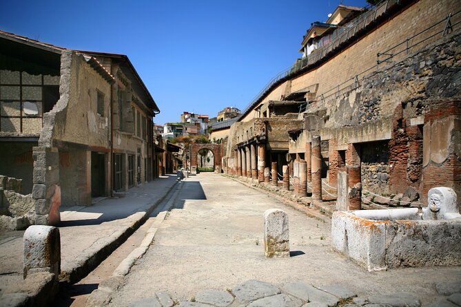 Pompeii & Herculaneum Family Adventure | Guide+Transport+Tickets - Who Should Book This Day