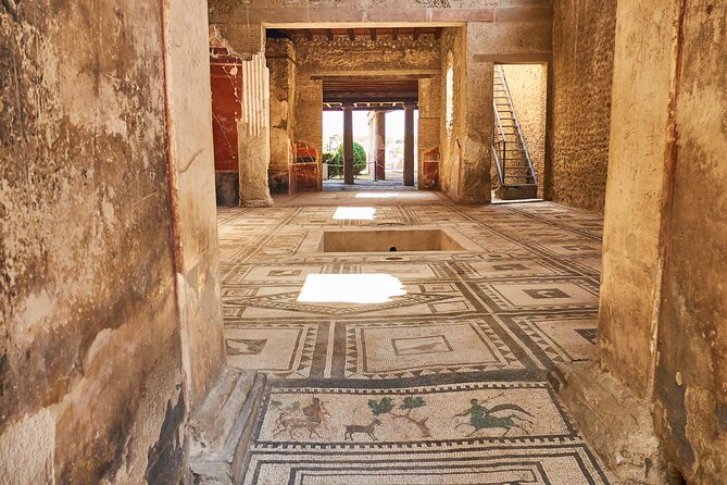 Pompeii, Herculaneum & Mt Vesuvius Private Tour from Naples - Pompeii: two hours among the buried streets