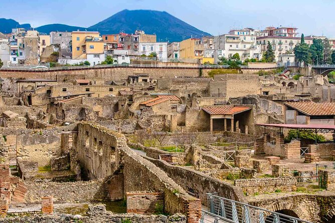 Pompeii & Herculaneum Private Tour: Fast-Track, Winery & Lunch - The winery option at Cantina del Vesuvio