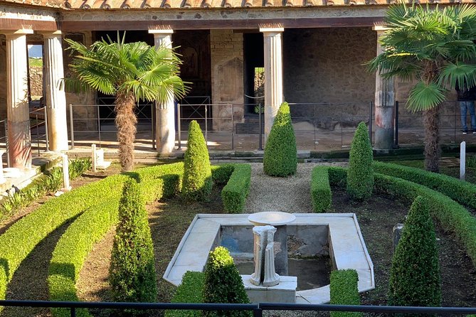 Pompeii & Mount Vesuvius Private Tour with Guide - Booking details that matter