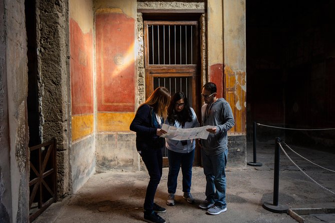 Pompeii & Mt.Vesuvius Day Tour from Naples with Pizza Lunch - Starting from Naples