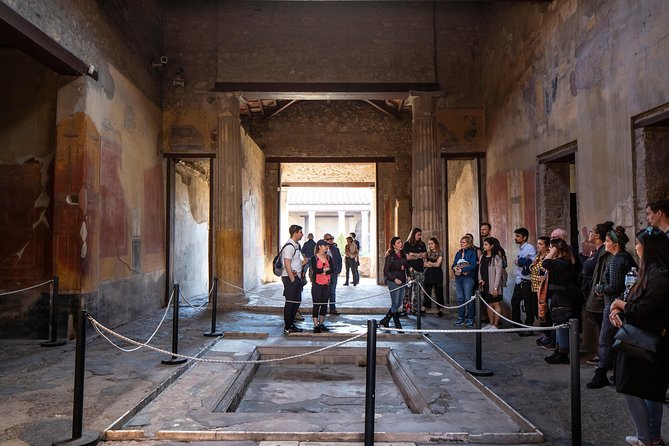 Pompeii & Mt.Vesuvius Day Tour from Naples with Pizza Lunch - Mount Vesuvius and the crater path
