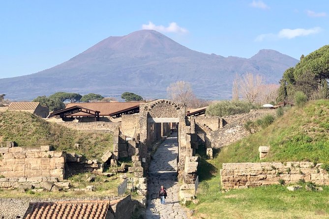 Pompeii New Discoveries Private Guided Tour - Starting at Piazza Esedra, 10
