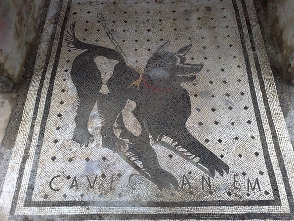 Pompeii Positano and Sorrento shared excursion with Pompeii skip the line entry - Seeing Positano from La Madonnina