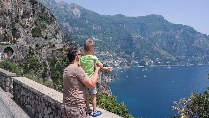 Pompeii, Positano & Sorrento private shore excursion - Who should book this private shore excursion?