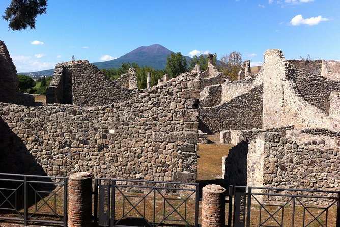 Pompeii Private Half-Day Tour from: Naples,Sorrento, Amalfi Coast - Who will get the most from this Pompeii visit?