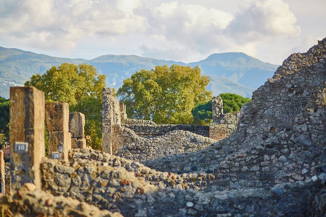 Pompeii Private & Personalized Tour with archeology expert guide - Practical advice for a smoother visit