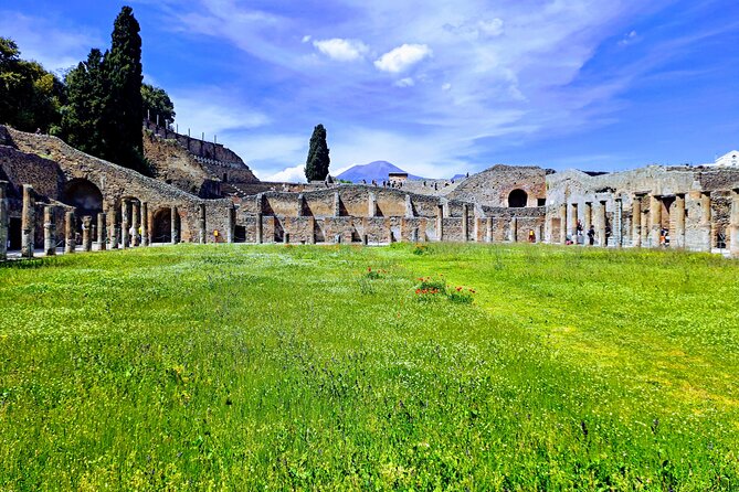 Pompeii private tour from Naples. The best choice for cruisers - The Forum, Basilica, and Sanctuary of Apollo