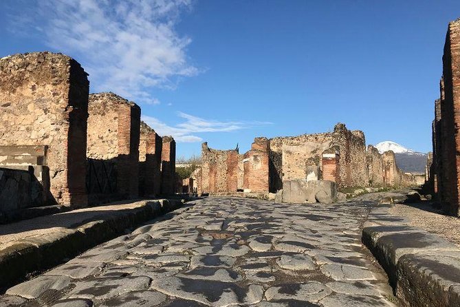 Pompeii Private Tour with Expert Guide - Streets, homes, and Roman daily life