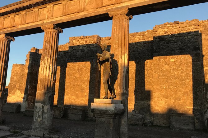 Pompeii Private Tour with expert local guide - Price, tickets, and group value