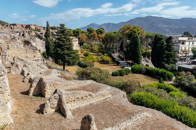Pompeii PRIVATE TOUR With Locals: Ticket & Guide Included - The Forum, Pompeii’s civic center