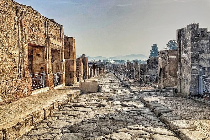 Pompeii Private Walking Tour with Expert and Authorized Guide - What the €102.13 price really covers