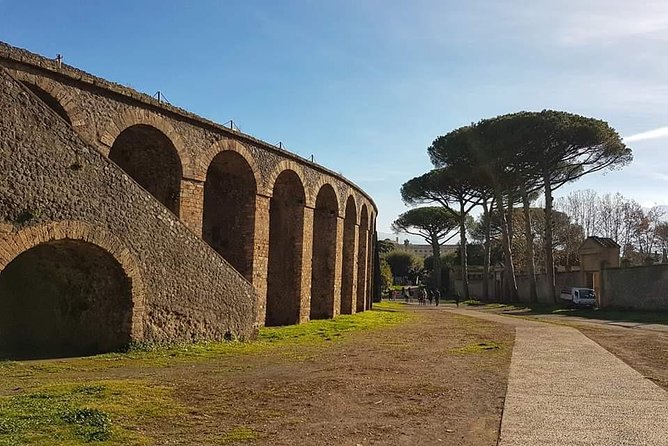Pompeii Ruins: Day Trip from Naples with skip the line ticket - Independent exploration, with no guide included