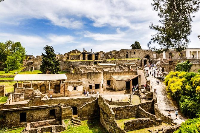 Pompeii Skip-the-Line Entry & Guided Tour with a certified guide - The House of the Faun and its famous mosaic