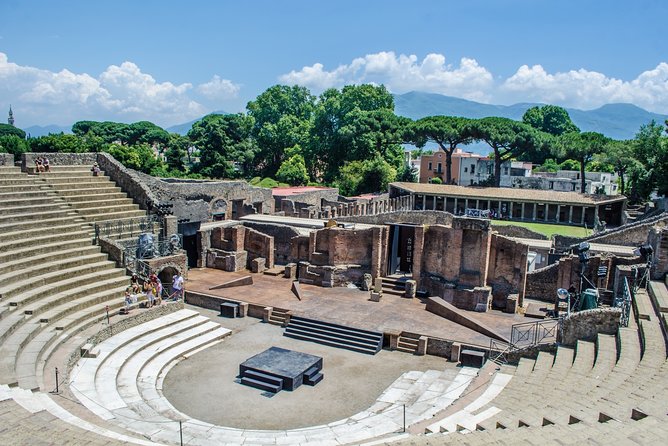 Pompeii Skip-the-Line Ticket and Virtual Museum - Practical details for families and access needs