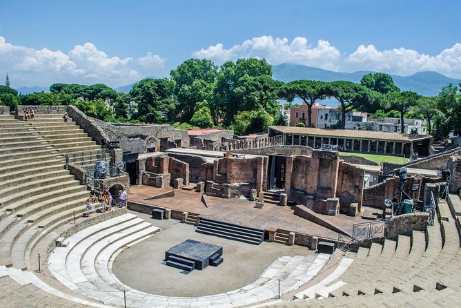Pompeii: Skip-the-line-Ticket with Guided Tour - Is $64.89 a fair price?