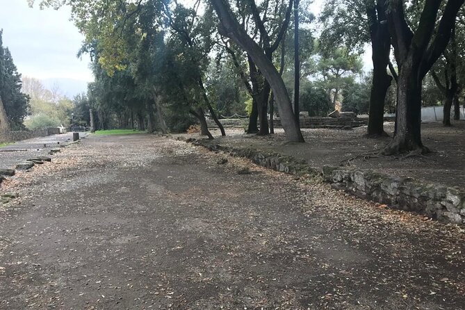 Pompeii Small Group Guided Tour with Skip-the-line Admission - The Forum and Via dell’Abbondanza