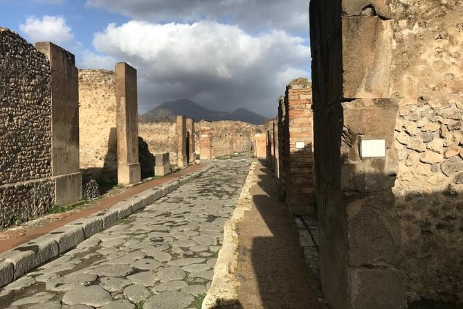 Pompeii Small Group Guided Tour with Skip-the-line Admission - The victims and the final human story