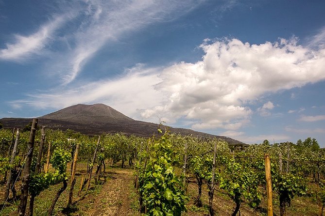 Pompeii Small Group Tour & Food/Wine tasting at Mt. Vesuvius - The ride to Casa Setaro Winery